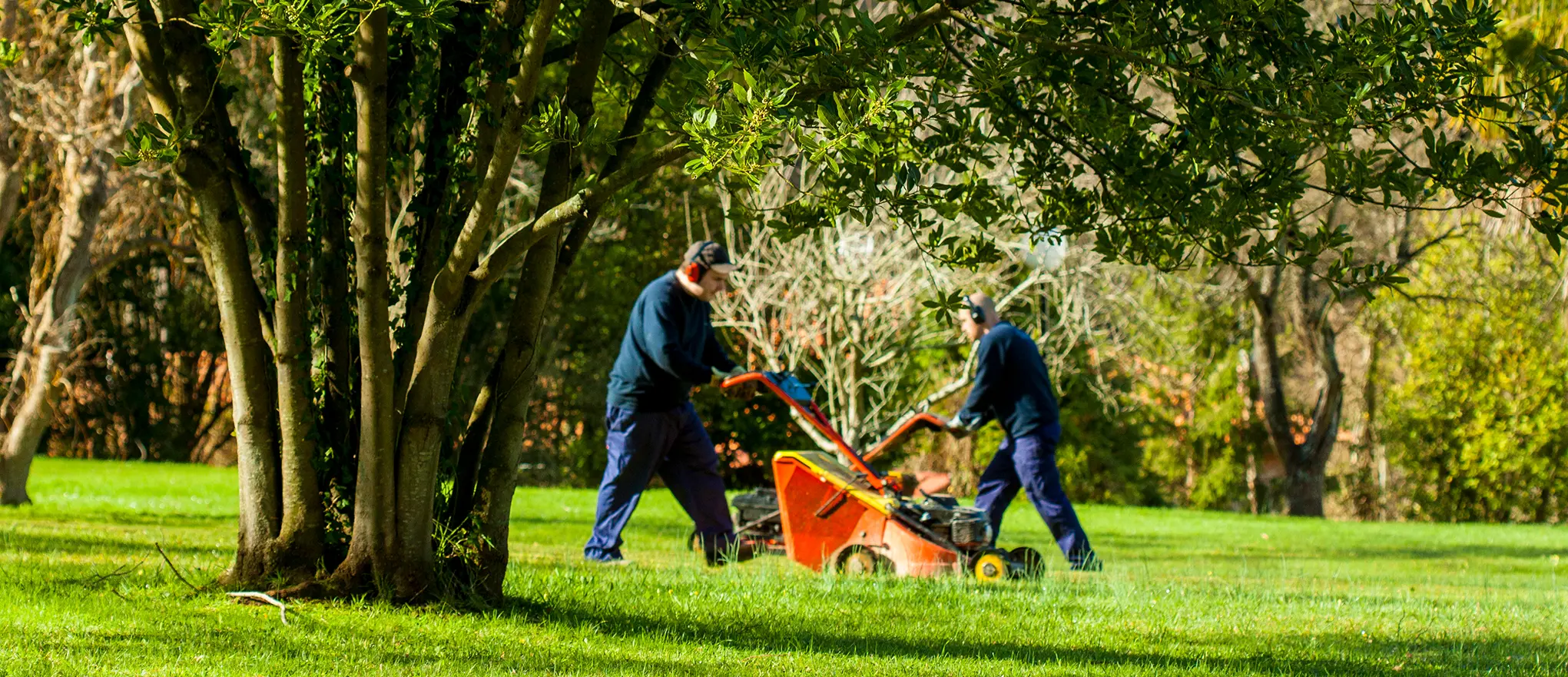 Dos trabajadores cortando césped en un entorno verde